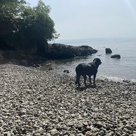 Casa de Férias Casa Fiorella Ika-opatija *